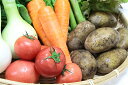 【ふるさと納税】越知町産季節の野菜セット(年4回発送)