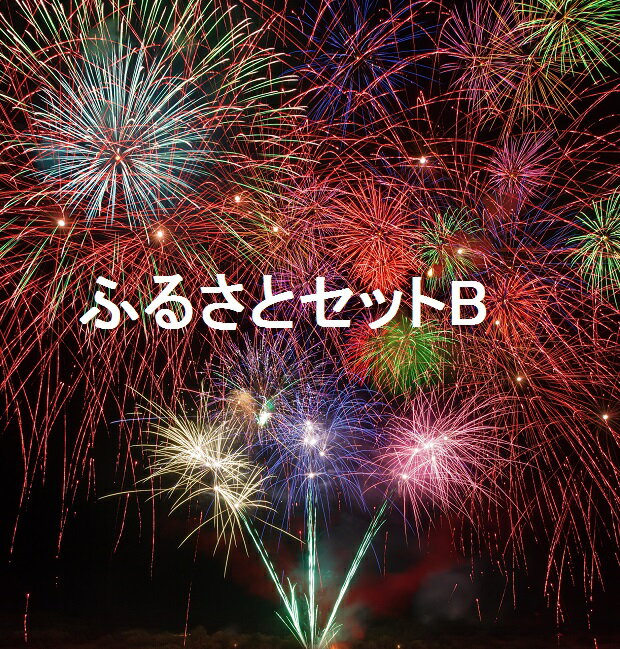 【ふるさと納税】越知町ふるさとセットB