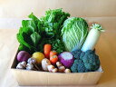 【ふるさと納税】越知町産季節の野菜セット(年4回発送)