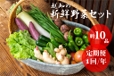 【ふるさと納税】越知産市の季節の野菜セット(年1回発送) 約