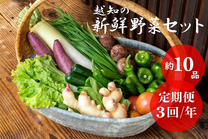 32位! 口コミ数「2件」評価「5」越知産市の季節の野菜セット(年3回発送)　産地直送　旬野菜　野菜セット 野菜便 詰め合わせ 旬の時期にお届け 2回目以降、着日時間指定可能【･･･ 