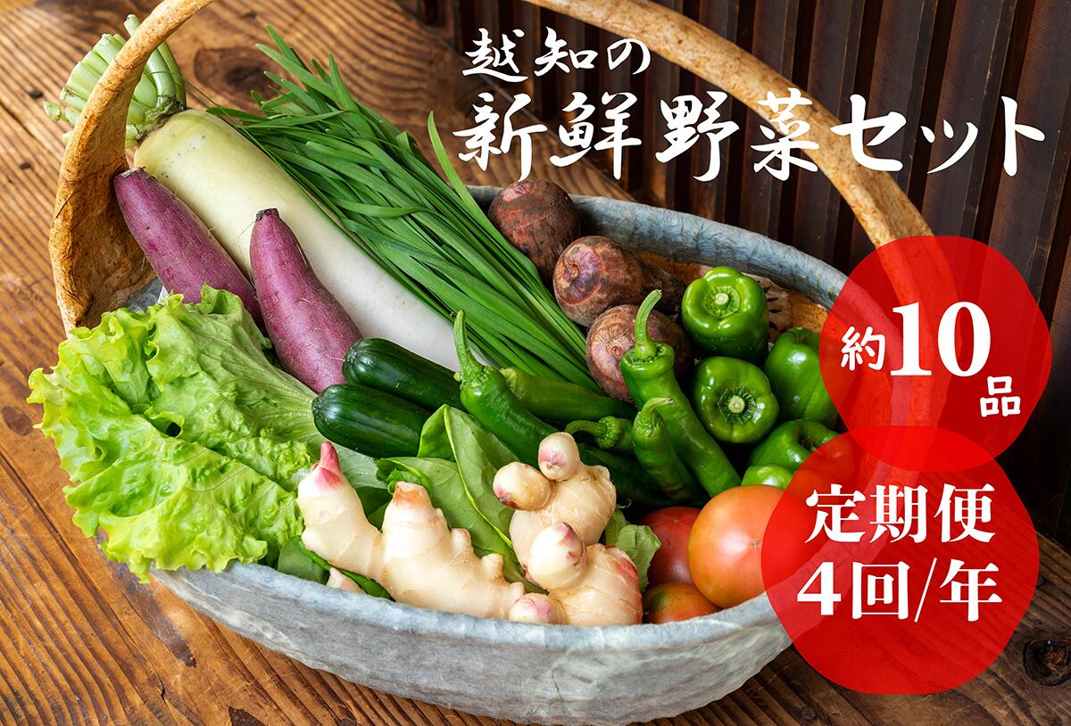 【ふるさと納税】越知産市の季節の野菜セット(年4回発送)　産