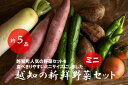 5位! 口コミ数「0件」評価「0」越知産市の季節の野菜ミニセット　産地直送　旬野菜