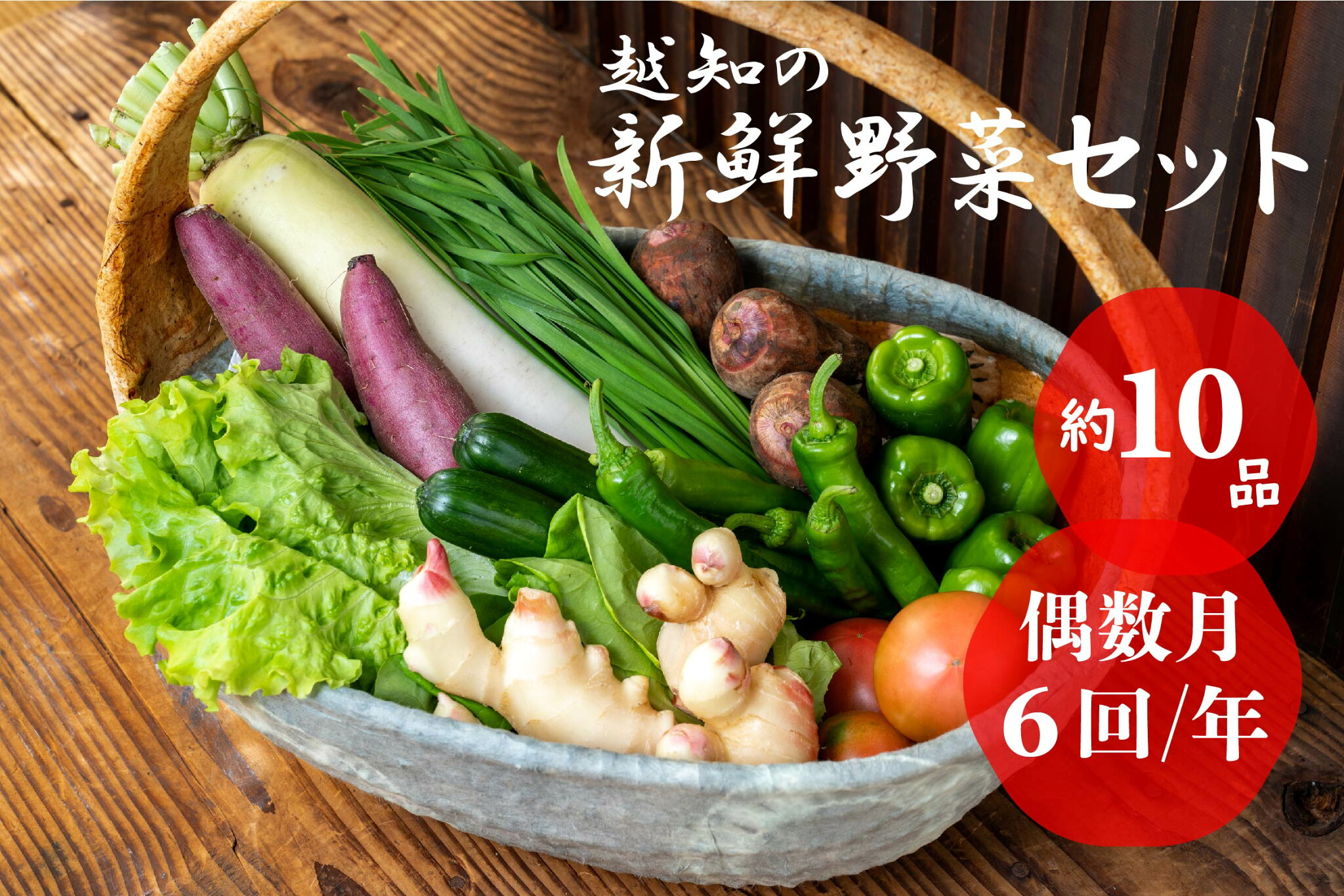 【ふるさと納税】野菜セット(年6回発送) 偶数月 産地直送 旬野菜 野菜セット 野菜便 詰め合わせ 旬の時期にお届け 2回目以降、着日時間指定可能【冷蔵】こうち育ち 事業者応援 農家支援 食料自給率UP