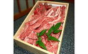 【ふるさと納税】梼原町産和牛 丸かじり焼肉セット（1kg）【GA02】