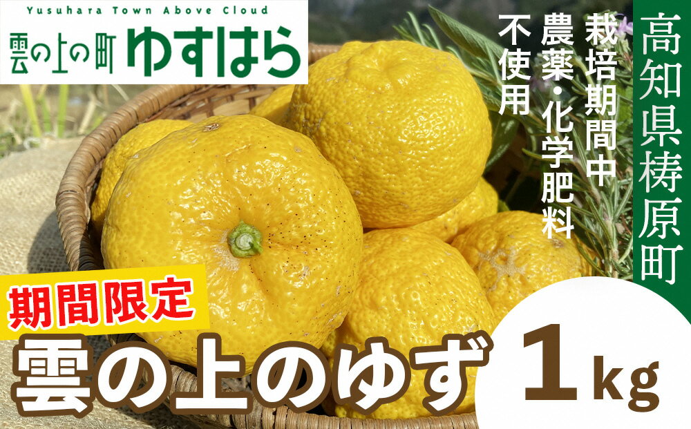 [期間限定]雲の上の黄金ゆず(1kg)ユズ 柚子 農薬化学肥料不使用 果物 柑橘 産地直送 ゆずジャム ゆず茶 高知県産 常温便