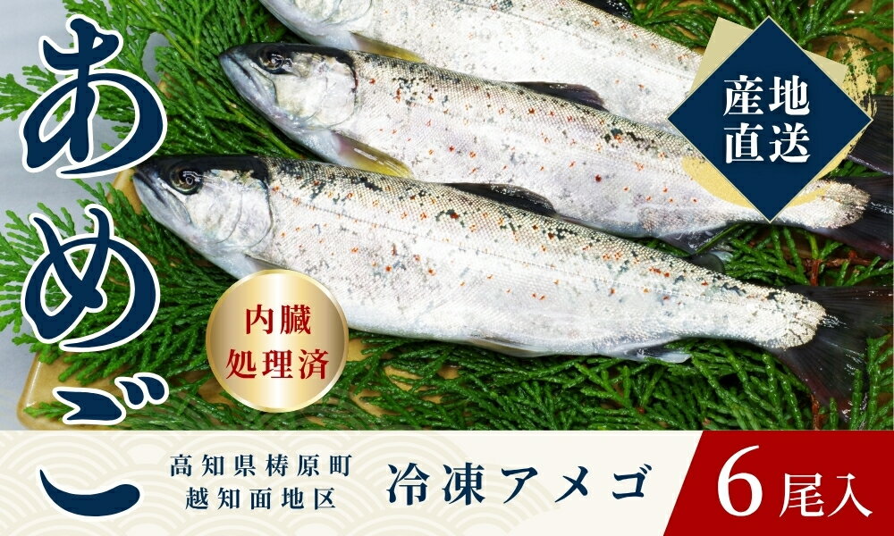 【ふるさと納税】四万十川源流域の清流で育ったゆすはらアメゴ（6匹入り）　アメゴ アマゴ 四万十川 清流 手作業 急速冷凍 川魚 養殖 新鮮 塩焼き　ICT デジタル化