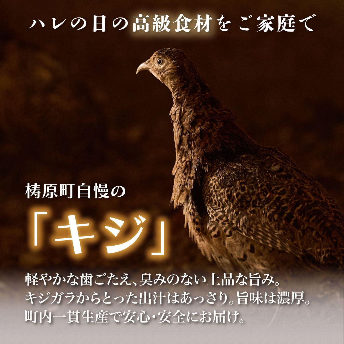 【ふるさと納税】四万十川の源流域で育ったキジの出汁 キジ釜飯の素（3合用）（株式会社四万川雉生産部）【K006】 簡単 炊くだけ 炊込みご飯 高知県産 冷凍便