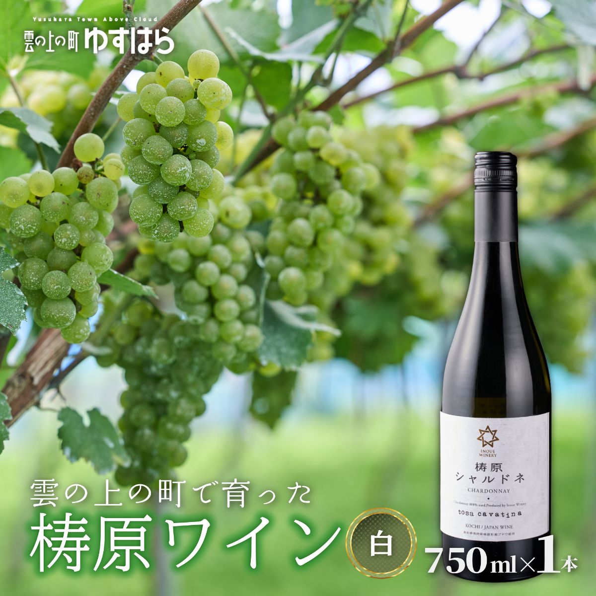 食卓を格上げする雲の上の白ワイン 梼原町の白ワイン 梼原シャルドネ 750ml 辛口で食事に最適 年末・お歳暮・冬鍋と好相性 国産ワイン すき焼き しゃぶしゃぶ ジビエ