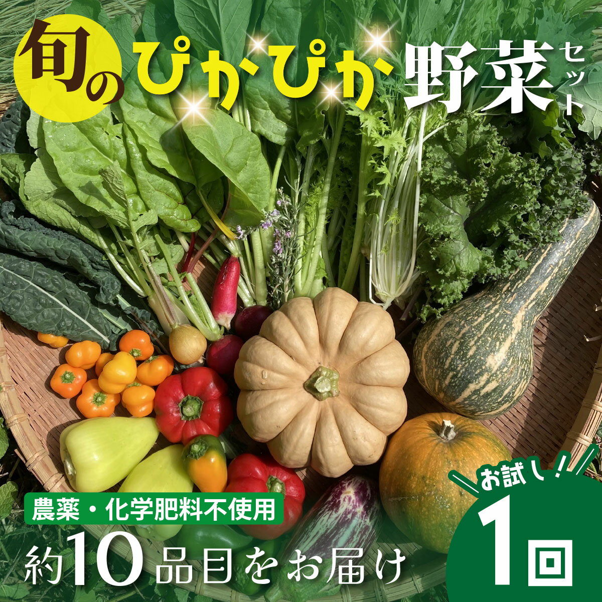 農薬化学肥料不使用 雲の上ガーデンのぴかぴか野菜セット[お試し便]季節にあわせて10品目前後をお届け[L001]季節 旬 詰め合わせ 採れたて 新鮮 産地直送 高知県産 冷蔵便