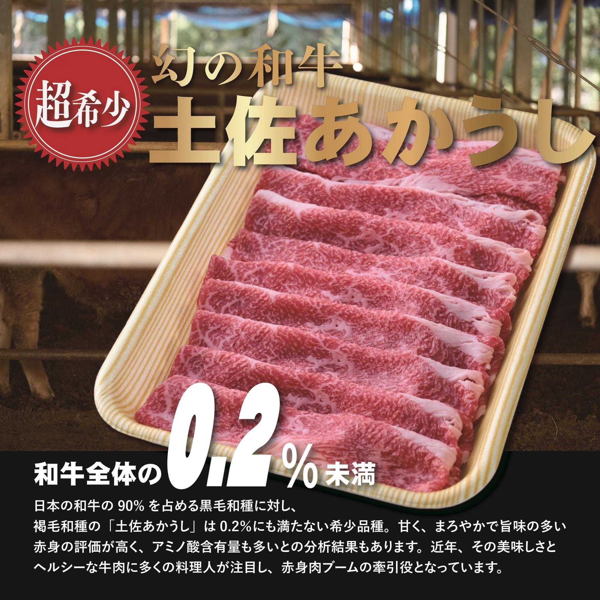 【ふるさと納税】四国カルスト高原で育った土佐あかうし すき焼き用 300g　牛肉 和牛 赤毛 高知県産