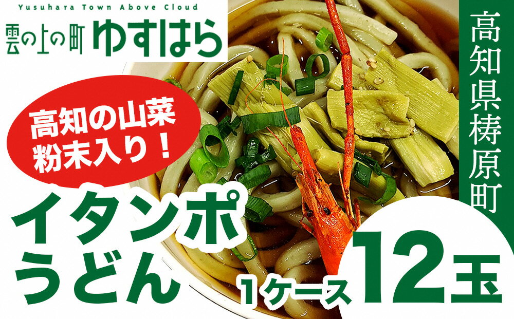 【ふるさと納税】イタンポうどん（12玉セット）