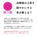 【ふるさと納税】【定期便・全12回】希少糖 無添加 糖質ブロック 食パン 1.5斤 冷凍 保存料不使用 3