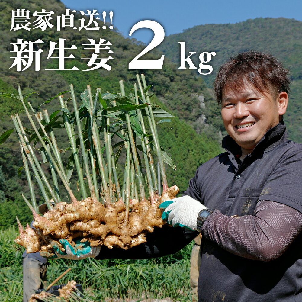 【ふるさと納税】【先行予約・2024年11月】農家直送！秋の新生姜 2kg 高知県産 しょうが 新鮮 ショウガ 期間限定