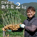 【ふるさと納税】【先行予約・2025年11月】新生姜 2kg 高知 生姜 しょうが 農家直送 期間限定 新ショウガ 旬 秋の新しょうが