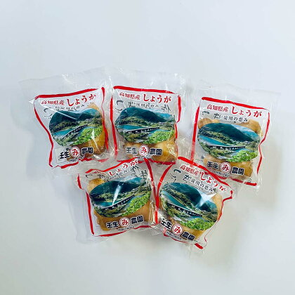 小分け お試し 袋入り こだわりの低農薬「囲い生姜」 100g×5袋 農家直送 高知県産 ショウガ 生姜