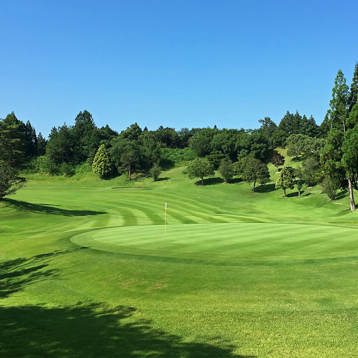 【ふるさと納税】錦山カントリークラブ 平日セルフプレー券 ゴルフ場利用券（平日券1枚・1名様分）