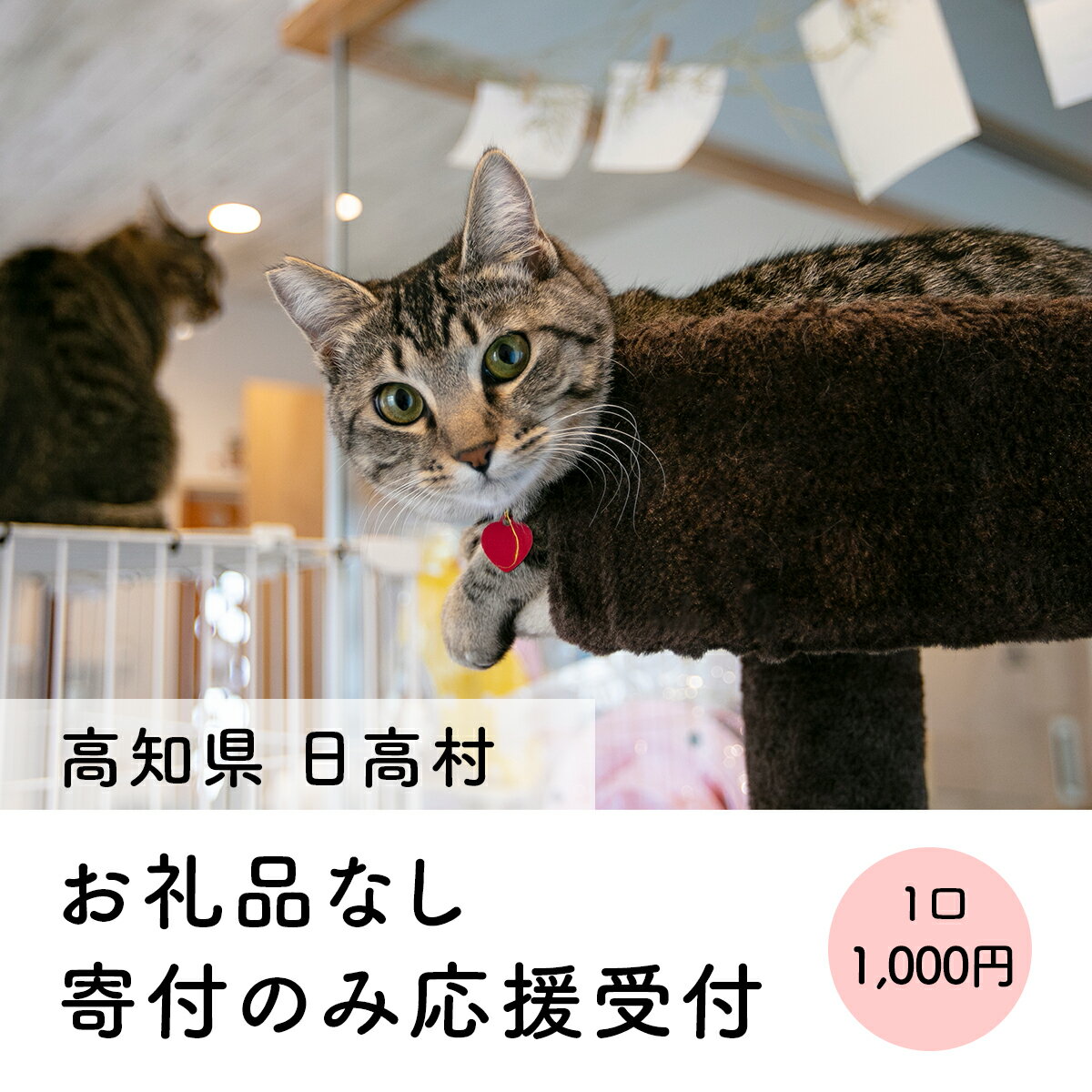 【ふるさと納税】返礼品なし 寄附のみの応援受付 返礼品なし 寄附のみ 1000円 