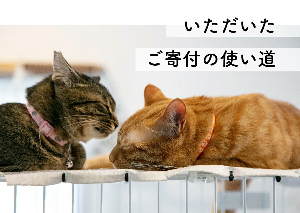 【ふるさと納税】返礼品なし 寄附のみの応援受付（返礼品なし 寄附のみ 1000円）