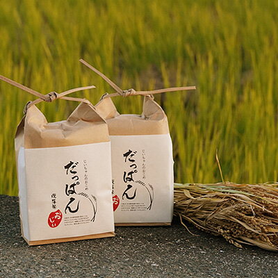 【ふるさと納税】だっぱん米 高知県産 にこまる 龍馬脱藩の道がある村でとれたお米（精米2kg×2袋）