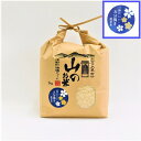 【ふるさと納税】R-16 「令和元年度産」5分つき胚芽米 大