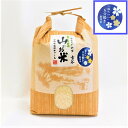 【ふるさと納税】R-17 「令和元年度産」5分つき胚芽米大わ