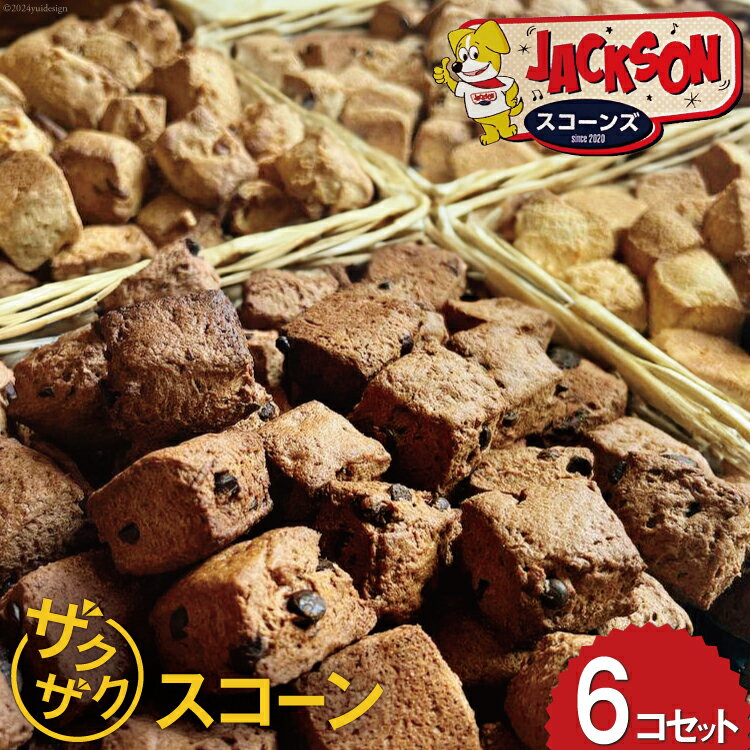 【ふるさと納税】ザクザク！ スコーン 6種類 各1個 [JACKSONスコーンズ 高知県 津野町 26ab0005] お菓子 おやつ 個包装 お茶菓子 洋菓子 スイーツ 常温のサムネイル