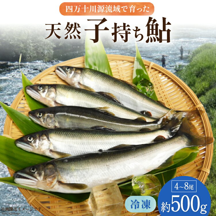 【ふるさと納税】四万十川源流域 冷凍 子持ち鮎 約500g(4～8尾) [株式会社満天の星 高知県 津野町 26ac0001] あゆ アユ 魚 川魚 塩焼き 天然 個包装