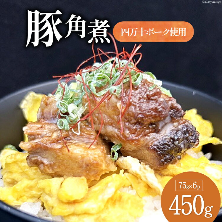 49位! 口コミ数「0件」評価「0」満天の星特製 角煮 (四万十ポーク使用)75g×6袋[株式会社満天の星 高知県 津野町 26ac0003] 豚 四万十ポーク ご当地 とろと･･･ 