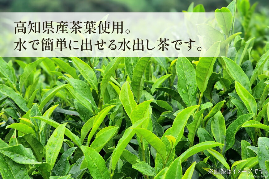 【ふるさと納税】 水出し茶 飲み比べ2種セット 1袋 20pc入り 計2袋 [株式会社満天の星 高知県 津野町 26ac0010] お茶 ティーバッグ 水出し 飲み比べ ほうじ茶 緑茶 常温