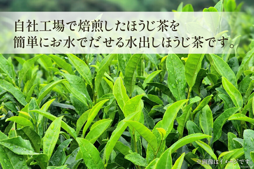 【ふるさと納税】 水出しほうじ茶 (10g×20P) 1袋 [株式会社満天の星 高知県 津野町 26ac0013] お茶 水出し ほうじ茶 お湯出し 常温