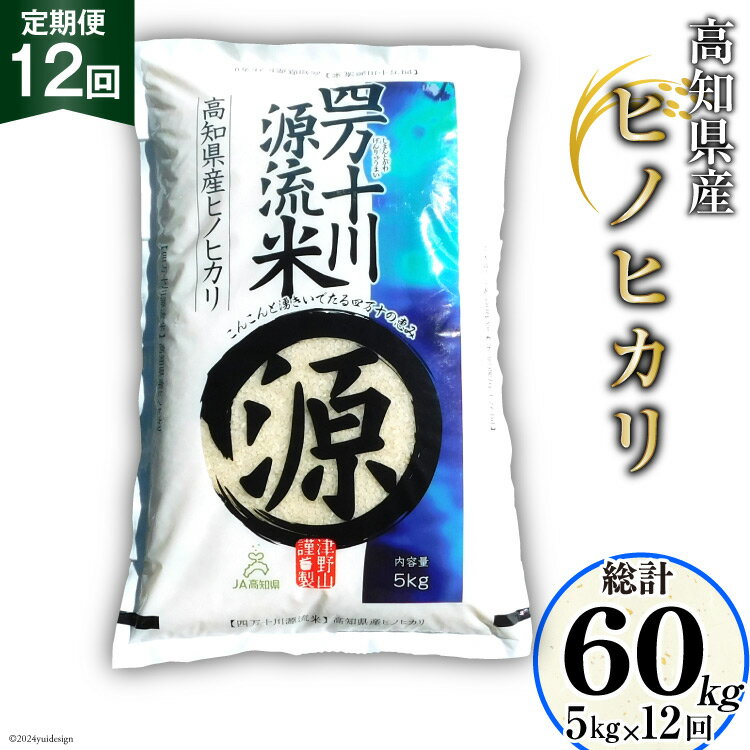 全12回 定期便 米 四万十川源流米・精米 5kg×12回 計60kg [JA高知県高西営農経済センター津野山経済課 高知県 津野町 26ah0009] お米 こめ おこめ 定期 毎月