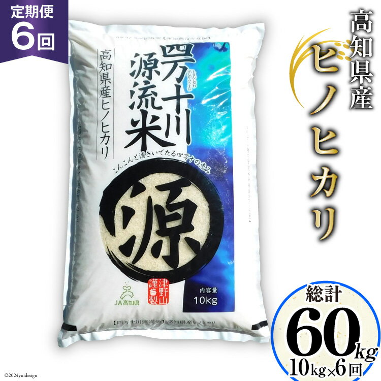 全6回 定期便 米 四万十川源流米・精米 10kg×6回 計60kg [JA高知県高西営農経済センター津野山経済課 高知県 津野町 26ah0010] お米 こめ おこめ 定期 毎月