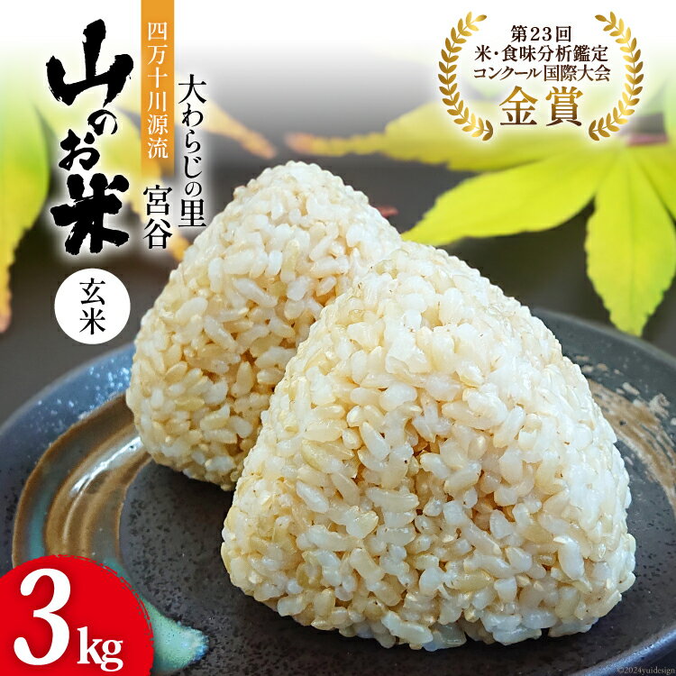 【ふるさと納税】大わらじの里 宮谷 山のお米 玄米 3kg [宮谷営農組合瑞穂ファーム 高知県 津野町 26a...