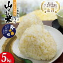 【ふるさと納税】大わらじの里 宮谷 山のお米 五分搗き胚芽米