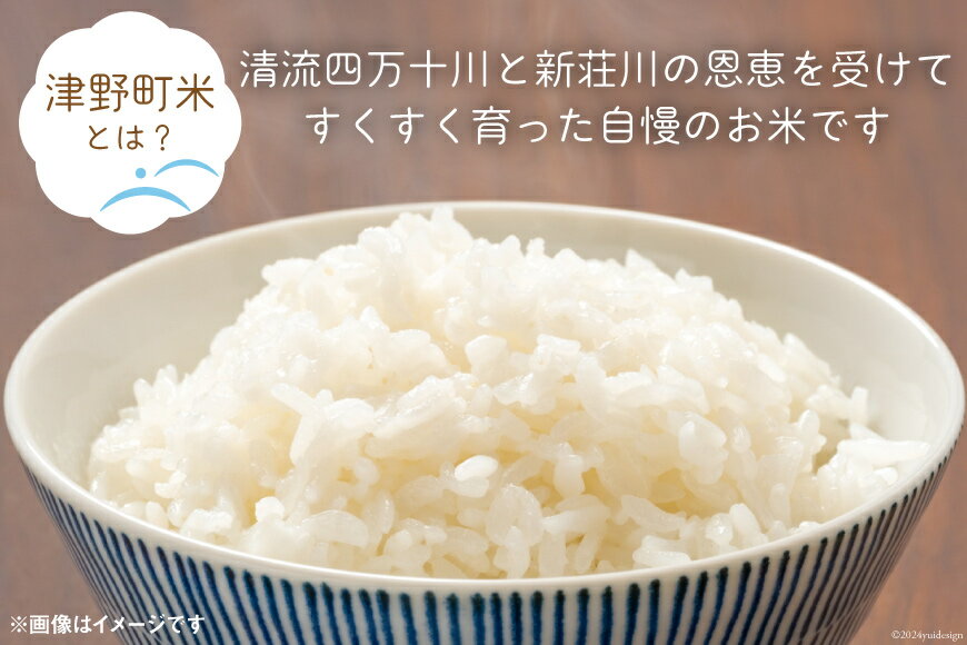 【ふるさと納税】無洗米 津野町米 5kg×2 計10kg [有限会社津野町ふるさとセンター 高知県 津野町 26ar0003] 白米 お米 おこめ こめ コメ