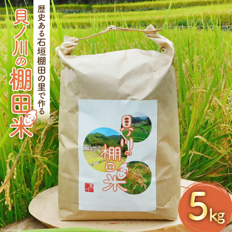 【ふるさと納税】石垣棚田で作る『貝の川の棚田米 』 5kg [貝ノ川棚田保存会 高知県 津野町 26as0001] 白米 お米 おこめ こめ コメ