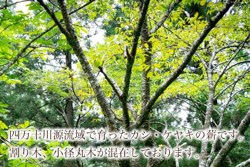 【ふるさと納税】四万十源流木工 薪 約15kg(カシ、ケヤキ) [四万十源流木工 高知県 津野町 26au0003] アウトドア ストーブ 焚き火 たき火 焚火 まき キャンプ