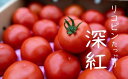 赤さがリコピン満載の証！四万十産トマト「深紅」4kg（1箱24～55玉）／Fbg-006　トマト リコピン サラダ イタリアン 健康 美容 濃厚 大容量 新鮮