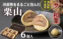 【ふるさと納税】【無添加】栗好きにはたまらない！渋皮煮を丸ごと包んだ「栗山」6個／Qdr-213 栗きんとん くり クリ 渋皮煮 和菓子 洋菓子 お菓子 スイーツ 和スイーツ マロン 和栗 ギフト スイーツギフト 贈り物 しまんと地栗