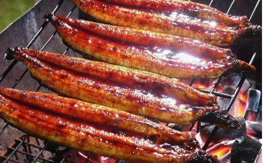 【ふるさと納税】うなぎ蒲焼き【260g x 1本】 Esu-40