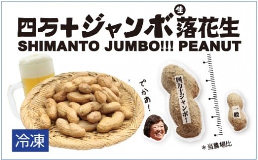 【ふるさと納税】2024新豆 塩ゆで四万十ジャンボ落花生380g1個 こだわりの無農薬栽培!大きいだけじゃない!美味しさもジャンボ!/Fsy-11