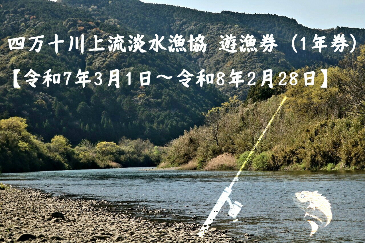 【ふるさと納税】四万十町上流淡水漁協遊漁券（1年券・竿漁肢体不自由者）【令和7年3月1日?令和8年2月28日】／Esj-46k