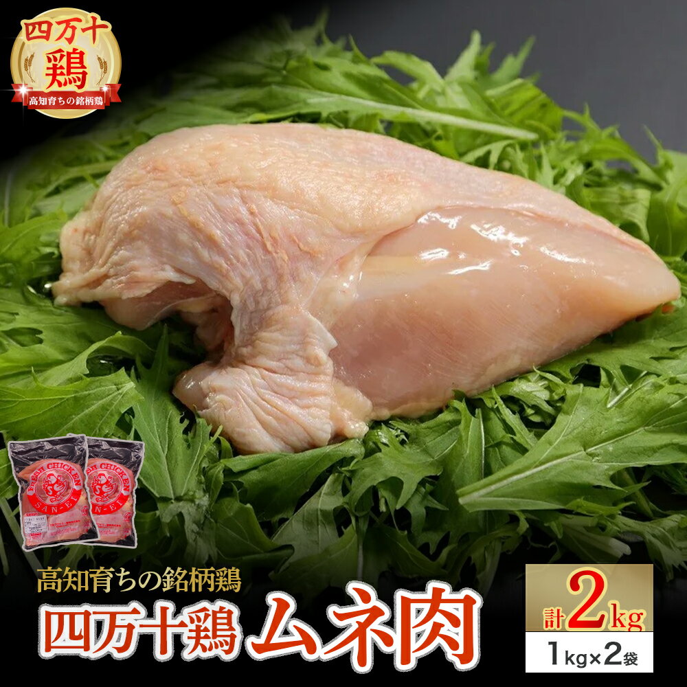 【ふるさと納税】 ★高知育ちの銘�