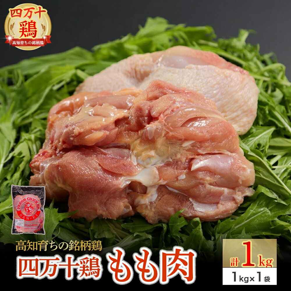 高知育ちの銘柄鶏 四万十鶏 もも肉 1kg 国産 国産鶏肉 肉 お肉 鶏肉 とりにく 鳥肉 鶏モモ 鶏もも 冷凍 唐揚げ