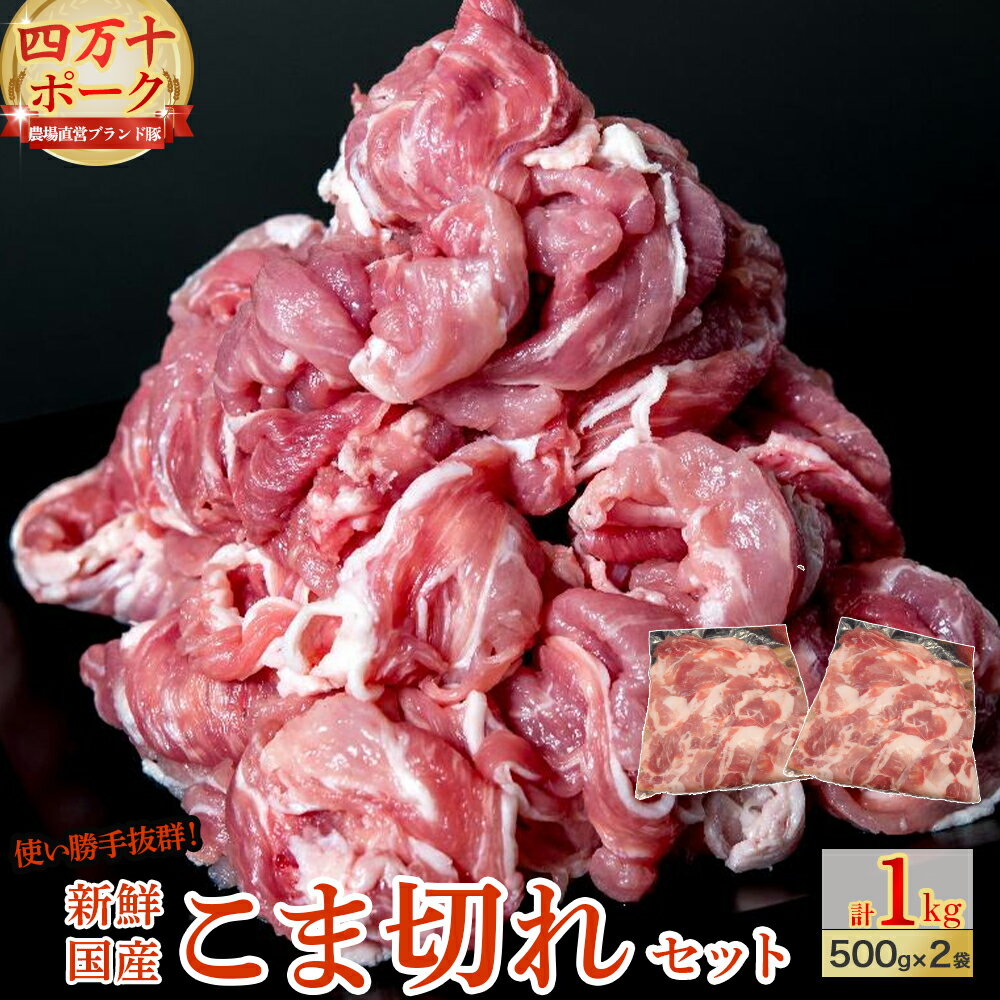 【ふるさと納税】 ◆丁度いい1.0kg◆四万十町産◆新鮮国産ブランド豚こま切れセット 国産 ぶた肉 豚肉 肉 お肉 国産豚肉 国産ぶた肉 コマ切れ こま切れ 冷凍 Adf-A24