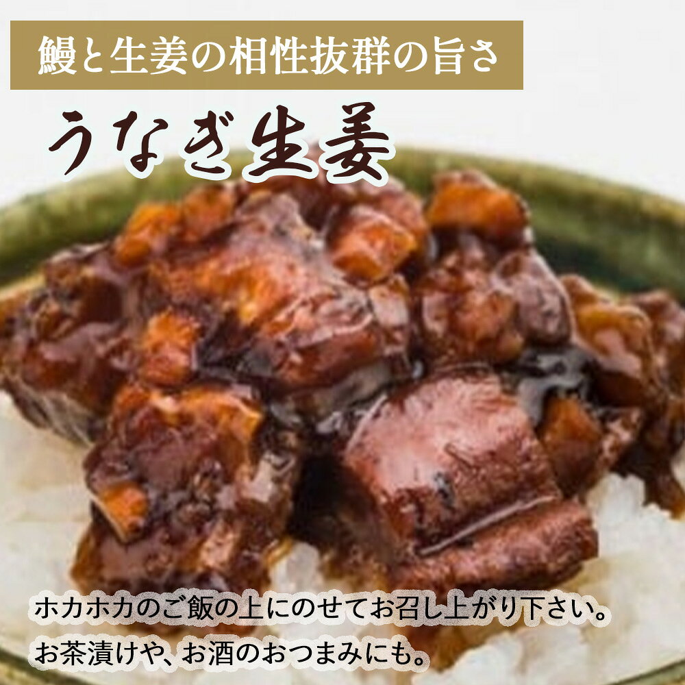 【ふるさと納税】 四万十うなぎ 生姜 6瓶セット（1瓶80g入り） ／Ess-15　ご飯のお供 鰻 ショウガ しょうが 肴 おかず 四万十鰻 瓶詰 おすすめ 人気 国産 厳選 f394122-shimanto-10000789 高知県四万十町 サンプル画像2