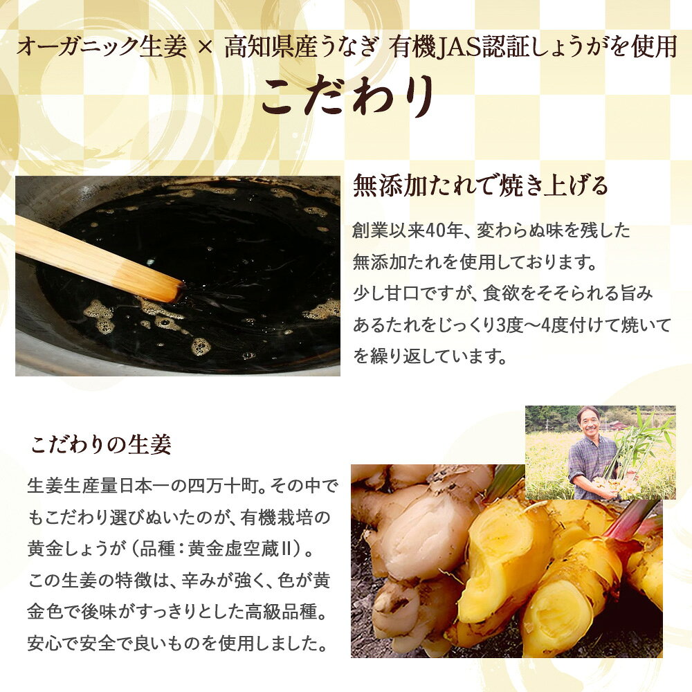 【ふるさと納税】 四万十うなぎ 生姜 6瓶セット（1瓶80g入り） ／Ess-15　ご飯のお供 鰻 ショウガ しょうが 肴 おかず 四万十鰻 瓶詰 おすすめ 人気 国産 厳選 f394122-shimanto-10000789 高知県四万十町 サンプル画像3