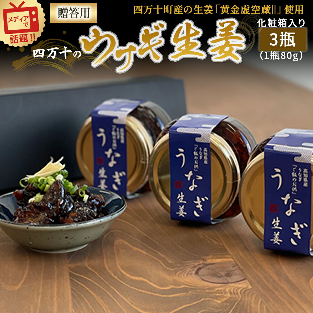 四万十うなぎ 生姜 3瓶(1瓶80g入り)  ご飯のお供 鰻 ショウガ しょうが 肴 常温 四万十鰻 国産