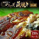 【ふるさと納税】 四万十のうなぎ蒲焼 3人前 /Ess-A07 冷凍 特大 たれ付き 蒲焼 白焼 国産 鰻 ウナギ うなぎ 蒲焼き 肉厚 土用の丑の日 本格うなぎ 山椒付き おすすめ 四万十鰻